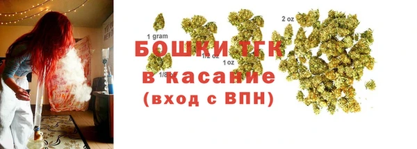 дживик Балахна