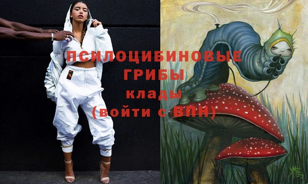дживик Балахна