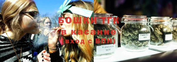 молекула духа Майский