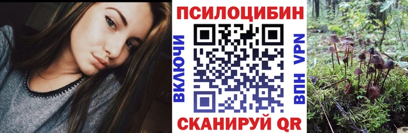 darknet как зайти  МЕГА ССЫЛКА  Белокуриха  Псилоцибиновые грибы Cubensis 
