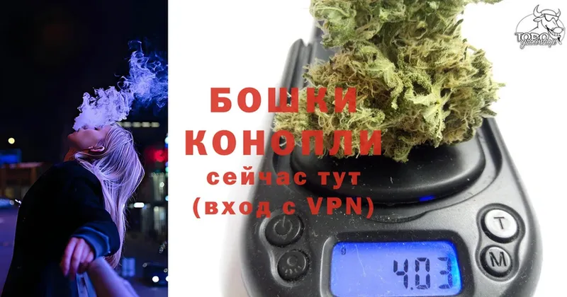 МЕГА зеркало  Белокуриха  Марихуана Ganja 